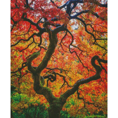 Ethereal Tree Alive (Darren White Photography)