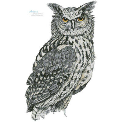 Eurasian Eagle Owl (Claire Harkness)