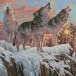 Evening Song (Beth Hoselton)