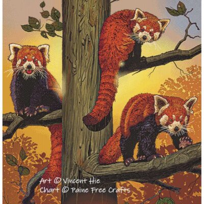 Red Pandas