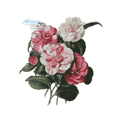 Camellias 4 (Augusta Innes Withers)
