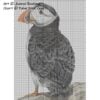 Sir Percival the Puffin