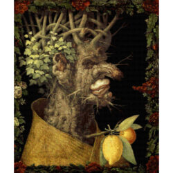 Winter - Giuseppe Arcimboldo