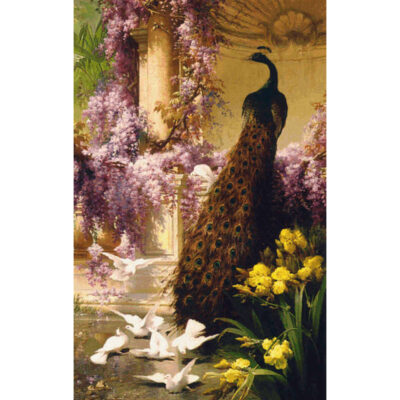 A Peacock and Doves in a Garden - Eugene  Bidau