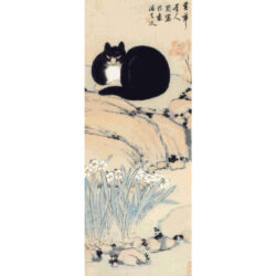 Seated Cat - Ling Chu