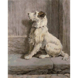 Prodigal (Dog) - Herbert Dicksee