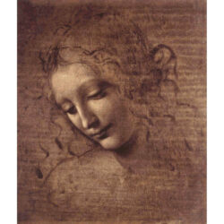 La Scapigliata - Leonardo da Vinci