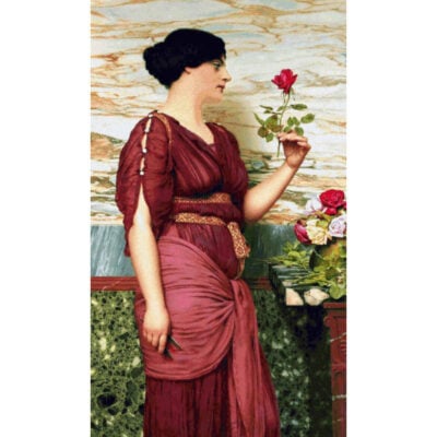 A Red Rose - John William Godward