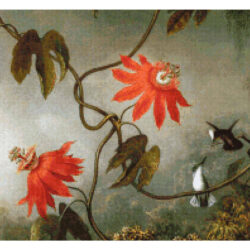 Passion Flowers and Hummingbirds  (detail) - Martin Johnson Heade