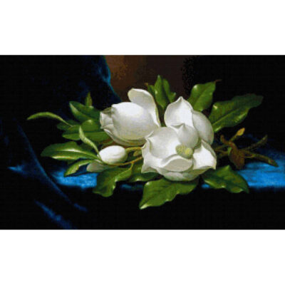 Giant Magnolias on a Blue Velvet Cloth -  Martin Johnson Heade