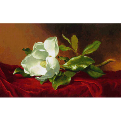 A Magnolia on Red Velvet - Martin  Johnson Heade