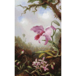 Hummingbird and Two Types of Orchids -  Martin Johnson Heade