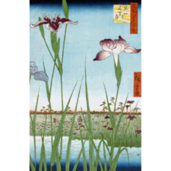 Iris Garden at Horikiri - Ando Hiroshige