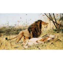 Lion and His Prey - Friedrich Wilhelm  Kuhnert