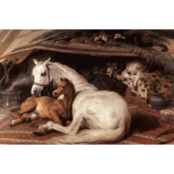 The Arab Tent - Sir Edwin Landseer