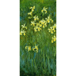Yellow Irises - Claude Monet