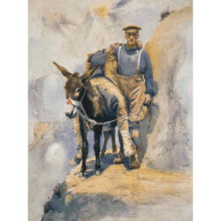 Simpson and His Donkey - Horace  Moore-Jones