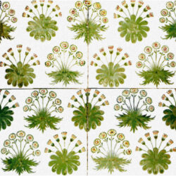 Daisy Tiles - William Morris