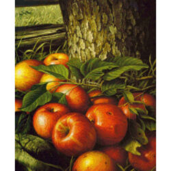 Apples and Tree Trunk - Levi Wells  Prentice