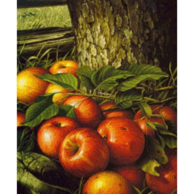 Apples and Tree Trunk - Levi Wells  Prentice