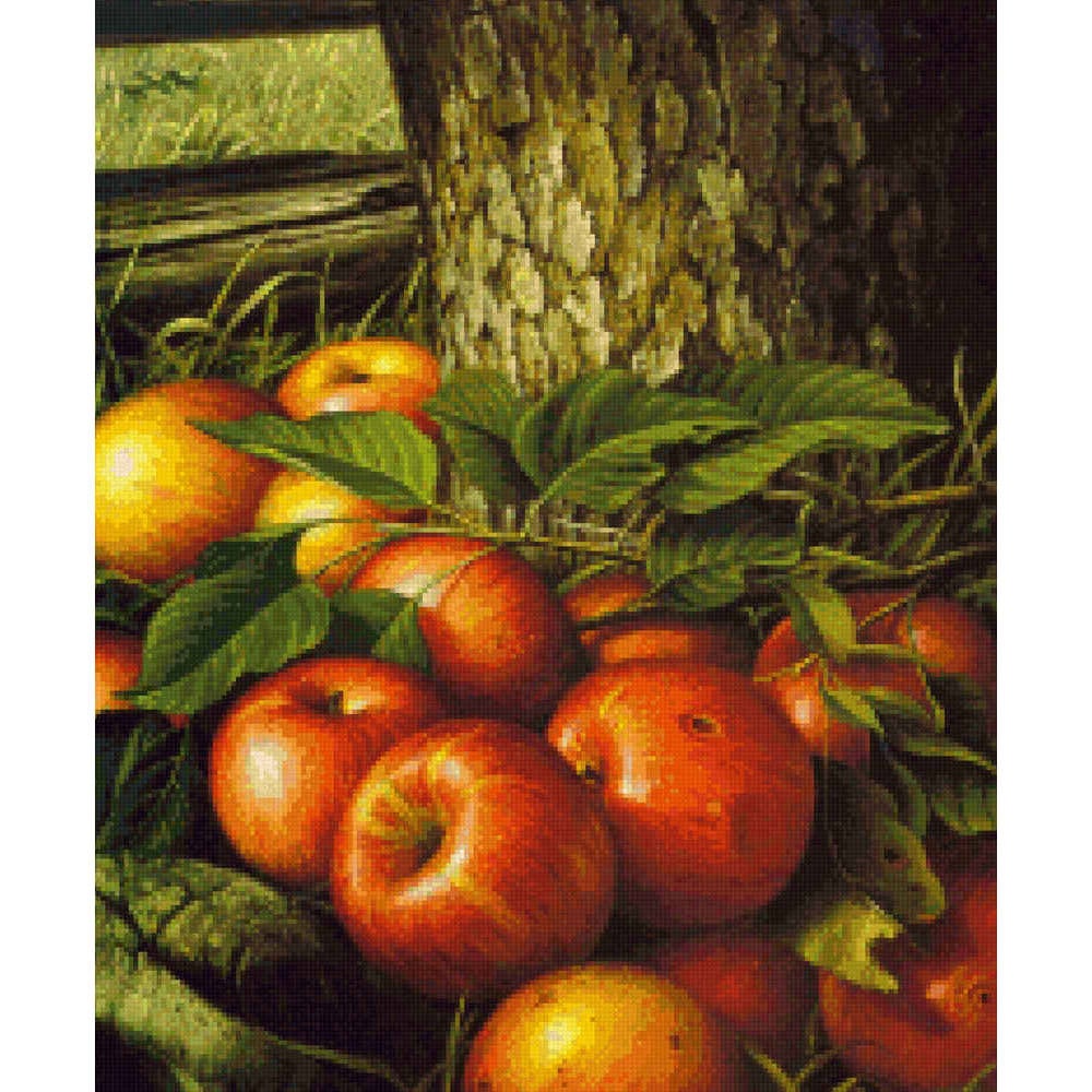 Apples and Tree Trunk - Levi Wells  Prentice