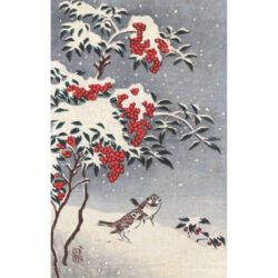 Birds and Snowy Berry Branches - Ohara  Shoson