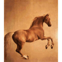 Whistlejacket - George Stubbs