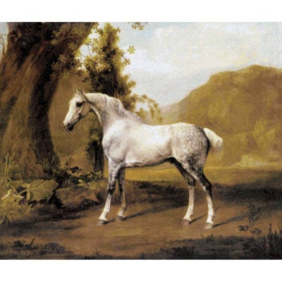 A Grey Stallion in a Landscape - George  Stubbs
