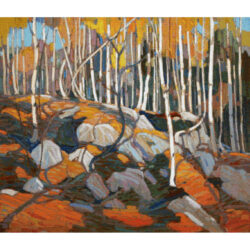 The Birch Grove, Autumn - Tom Thompson