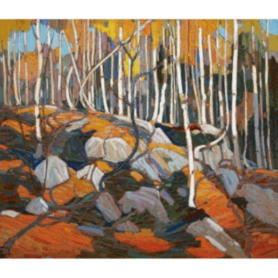 The Birch Grove, Autumn - Tom Thompson