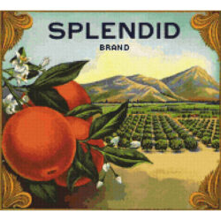 Splendid