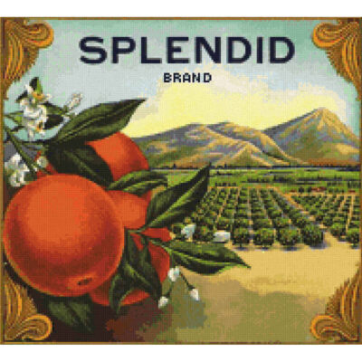 Splendid