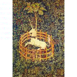 The Unicorn in Captivity
