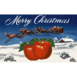 Merry Christmas Brand Apples