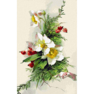 Christmas Rose
