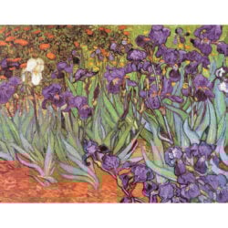 Irises - Vincent Van Gogh