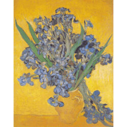 Still Life: Irises - Vincent Van Gogh