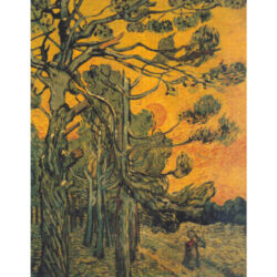 Pine Trees against the Light - Vincent  Van Gogh