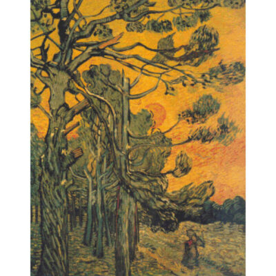 Pine Trees against the Light - Vincent  Van Gogh