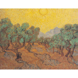 Olive Fields - Vincent Van Gogh
