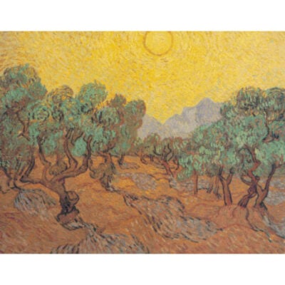 Olive Fields - Vincent Van Gogh
