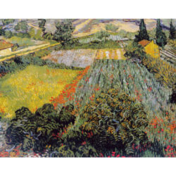 Poppy Field - Vincent Van Gogh