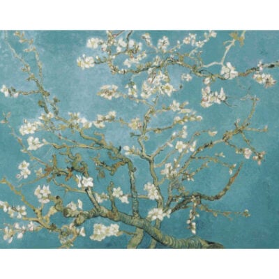 Almond Blossom - Vincent Van Gogh