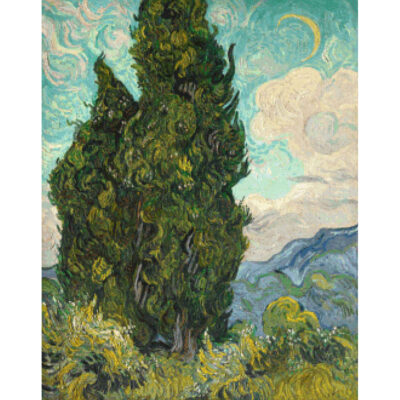 Cypresses - Vincent Van Gogh
