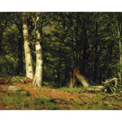 Fallen Birch - Worthington Whittredge