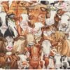 Cow Family