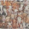 Cow Family