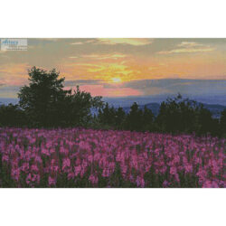 Fireweed Field (Siepmann/Westend61)