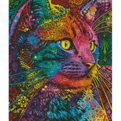 Felis (Dean Russo/ artlicensing)