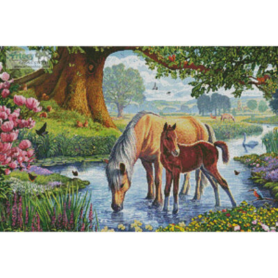 Fell Ponies (Steve Crisp)
